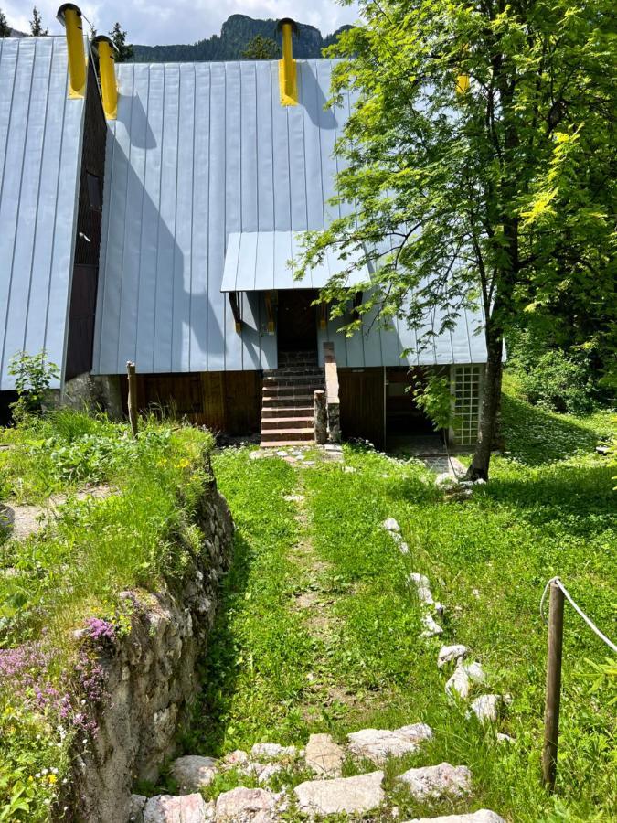 ~Chalet_Rifugio Tra I Boschi~ Sella Nevea Eksteriør billede