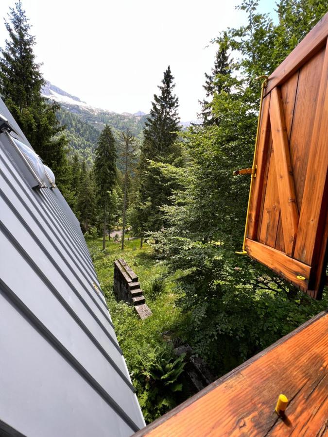 ~Chalet_Rifugio Tra I Boschi~ Sella Nevea Eksteriør billede