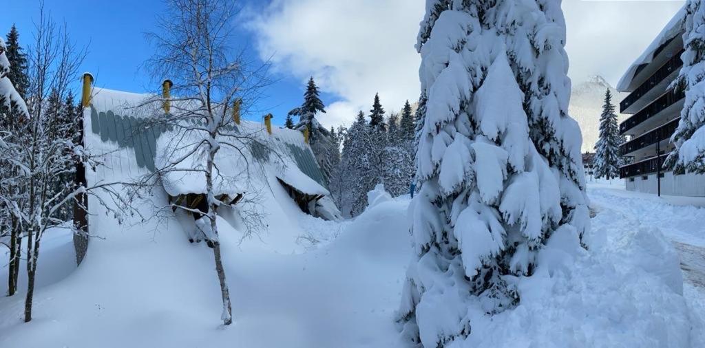 ~Chalet_Rifugio Tra I Boschi~ Sella Nevea Eksteriør billede