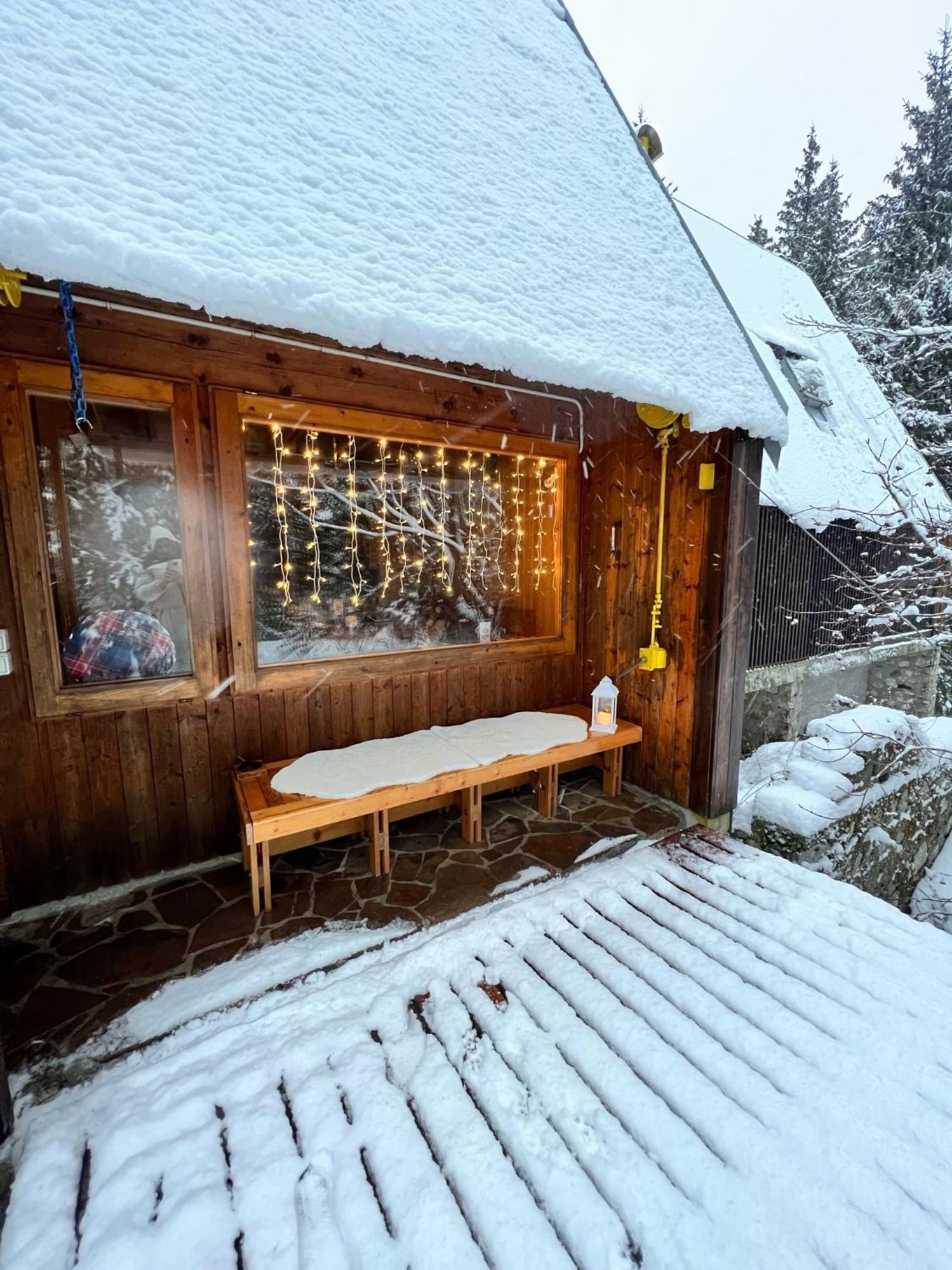 ~Chalet_Rifugio Tra I Boschi~ Sella Nevea Eksteriør billede