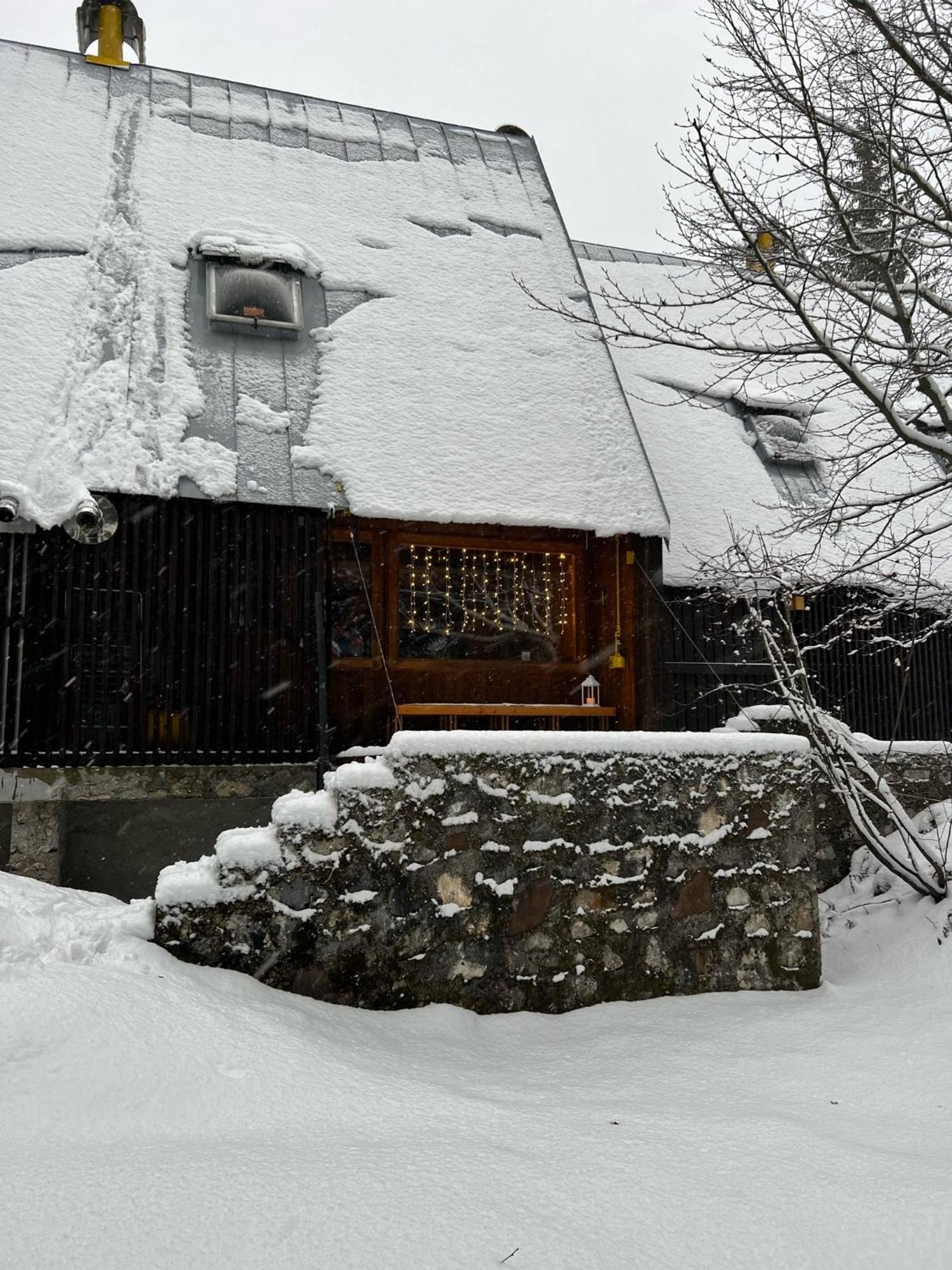 ~Chalet_Rifugio Tra I Boschi~ Sella Nevea Eksteriør billede